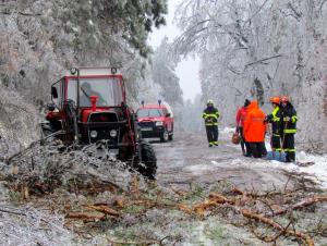Žled 2014, foto M. Zver